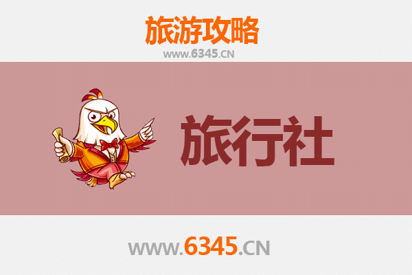 甘孜理塘旅行社精选推荐：畅游天空之城的完美指南